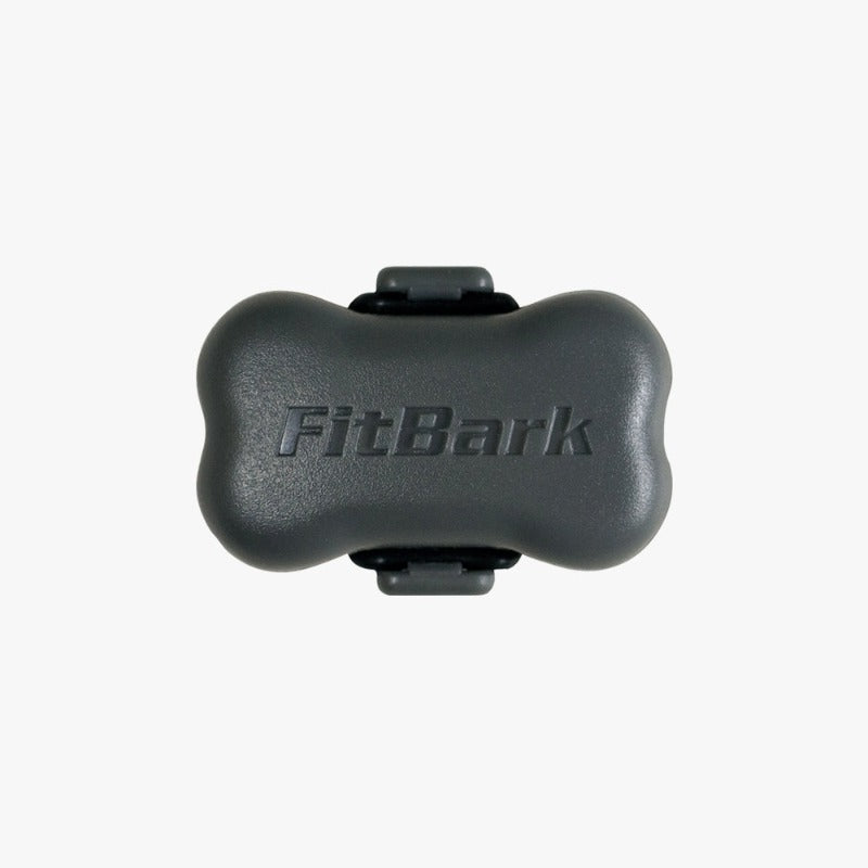 Monitor de actividad para perros FitBark - Gris frío